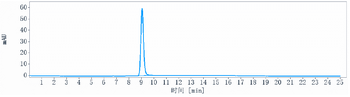 Anti-GDF8 / Myostatin Reference Antibody (landogrozumab)