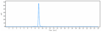 Anti-IgE Reference Antibody (omalizumab)