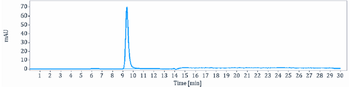 Anti-RTN4 / NOGO Reference Antibody (ozanezumab)