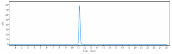 Anti-Integrin aVb6 (ITGAV & ITGB6) Reference Antibody (STX-100)