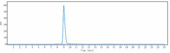 Anti-SIRPa / CD172a Reference Antibody