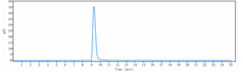 Anti-IL-12b Reference Antibody (ebdarokimab)