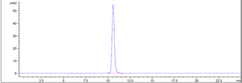 Anti-IL-6 / IFNb2 Reference Antibody (sirukumab)
