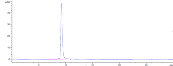 Anti-TREM2 Reference Antibody (Py314)
