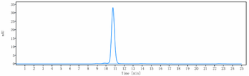 Anti-ERBB2 / HER2 / CD340 Reference Antibody (disitamab)