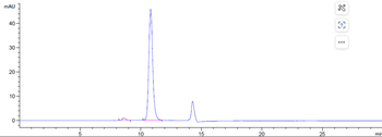Anti-ADAM9 Reference Antibody (Imgc936)