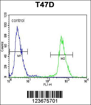 NUP210 Antibody (N-term)