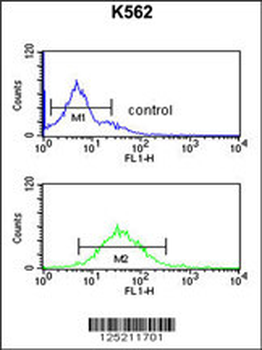 DEN1A Antibody (C-term)