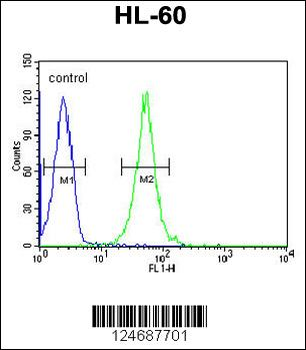 RGR Antibody (Center)