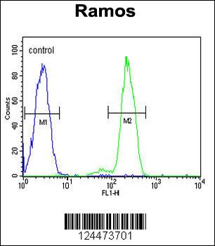 DCP1B Antibody (center)
