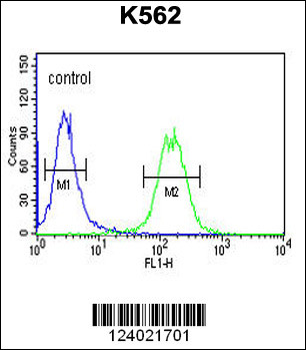 GALR1 Antibody (Center)