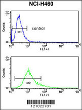 S100A10 Antibody (Center)