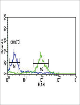 DCI Antibody (C-term)