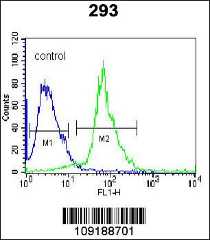 SRPK1 Antibody (C-term)
