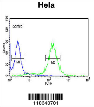 MPST Antibody (N-term)