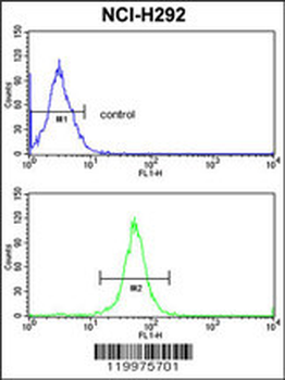 XPOT Antibody (C-term)