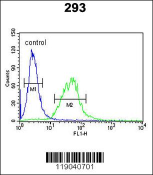 BCOR Antibody (Center S1122)