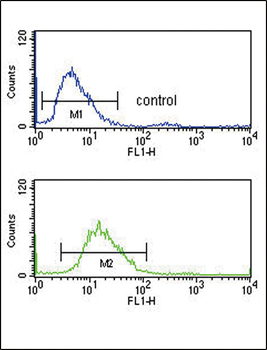 SERPINF1 Antibody (N-term)