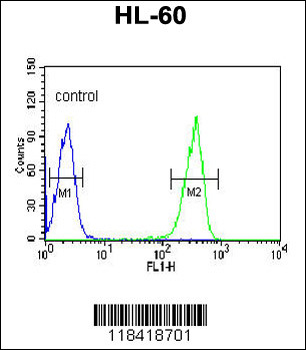 KRT9 Antibody (Center K317)