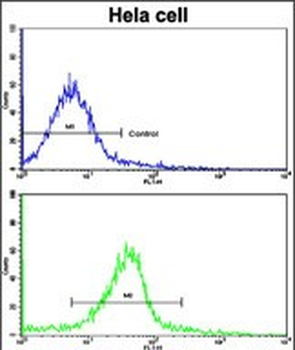 GLRX2 Antibody (C-term T135)