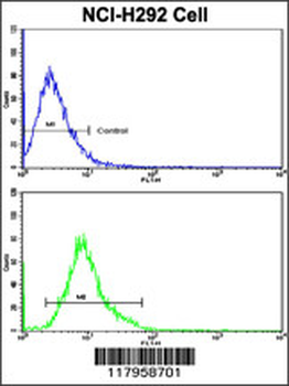 ELF4 Antibody (Center)