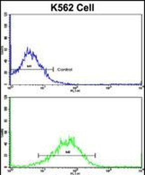 SFRP5 Antibody (Center)