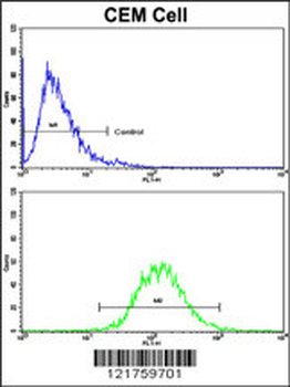 HMHA1 Antibody (Center)