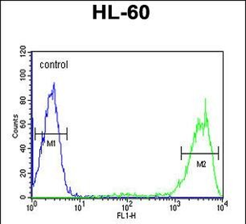 Rab5 Antibody (C-term)