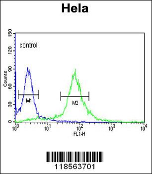 PIK4CB Antibody (Center)