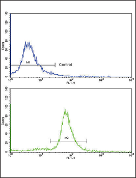 OTC Antibody (Center)