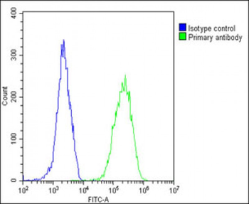 CALR Antibody (Center)
