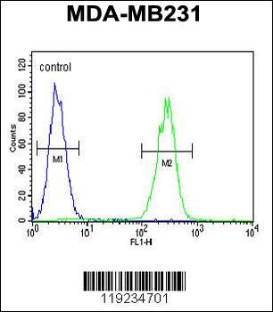 CRHR2 Antibody (Center)