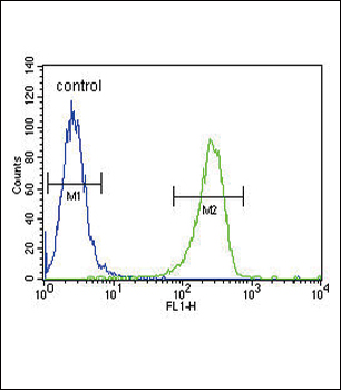 TPA Antibody (Center)