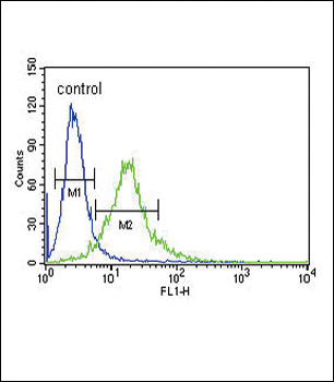 Ku70 Antibody (Center)