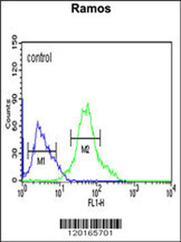 GBAS Antibody (Center)