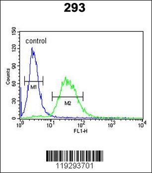 F10 Antibody (C-term)