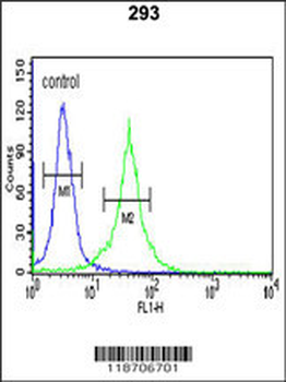 DCD Antibody (C-term)