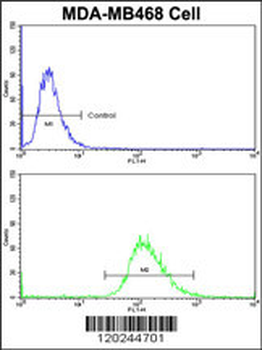 SCFD1 Antibody (C-term)
