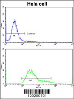 PDIA6 Antibody (Center D251)