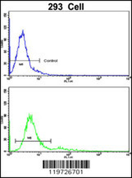BAALC Antibody (N-term)