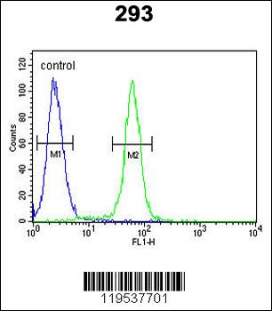 c-fos Antibody (C-term)