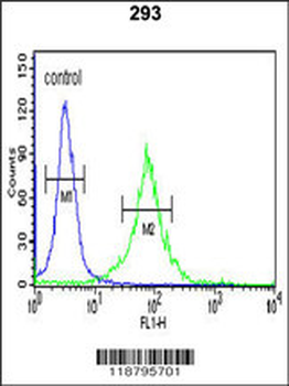 WTX Antibody (Center)