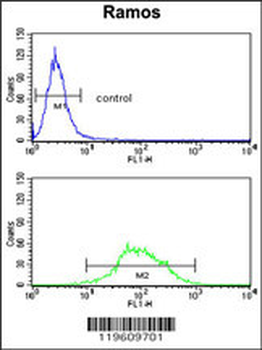 EEF1D Antibody (N-term)