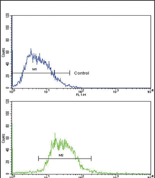 GCG Antibody (N-term)