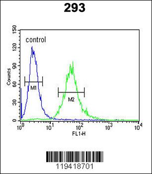 CEA Antibody (Center)