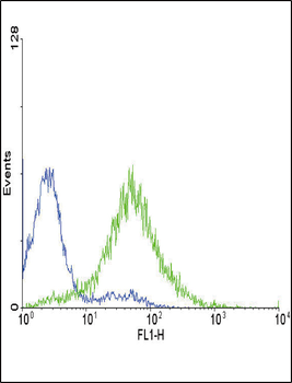 EDNRA Antibody (Center)