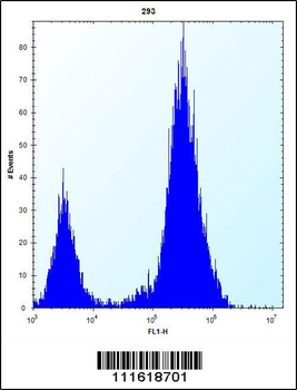 DDIT4 Antibody (C-term)