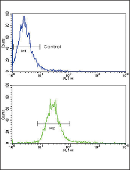 NRG1 Antibody (Center)