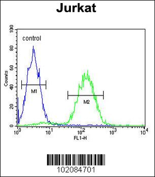 MAGEA3 Antibody (C-term)