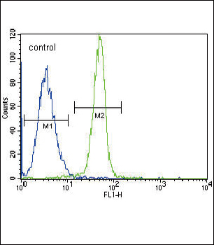 Leptin Receptor (LEPR) Antibody (N-term)